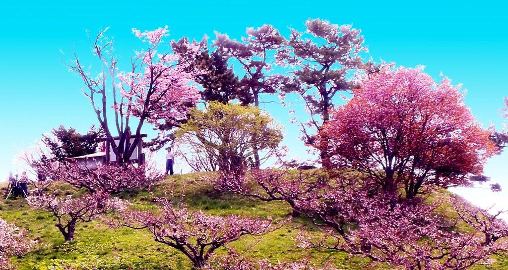ホテル中の島別館 Sobetsu Exterior photo
